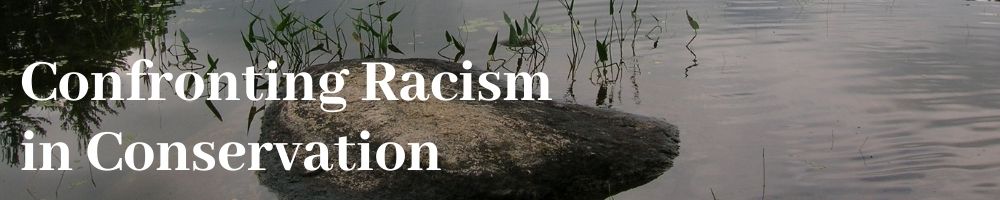 Diversity & Inclusion Web_Confronting Racism